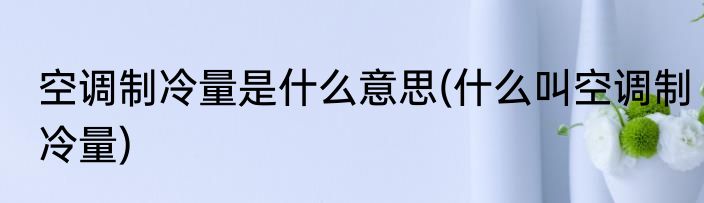 空调制冷量是什么意思(什么叫空调制冷量)