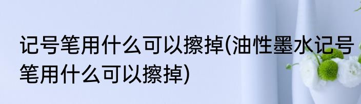 记号笔用什么可以擦掉(油性墨水记号笔用什么可以擦掉)