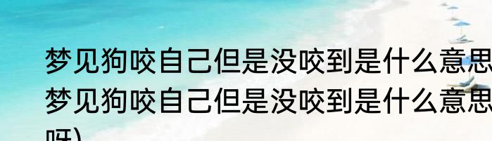 梦见狗咬自己但是没咬到是什么意思(梦见狗咬自己但是没咬到是什么意思呀)
