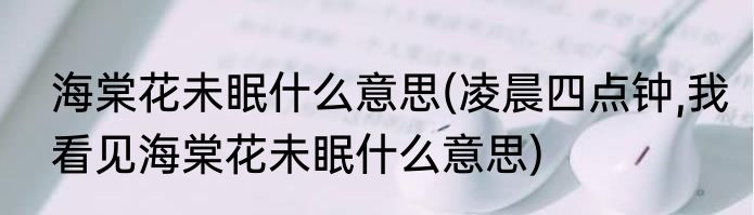 海棠花未眠什么意思(凌晨四点钟,我看见海棠花未眠什么意思)