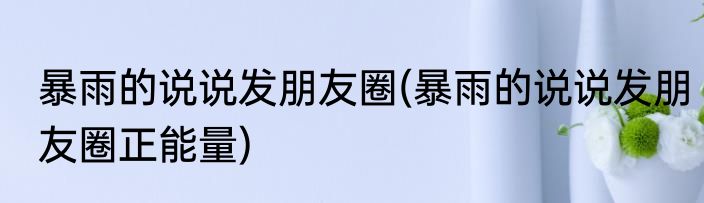 暴雨的说说发朋友圈(暴雨的说说发朋友圈正能量)