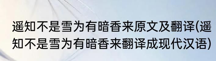 遥知不是雪为有暗香来原文及翻译(遥知不是雪为有暗香来翻译成现代汉语)