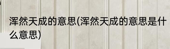 浑然天成的意思(浑然天成的意思是什么意思)