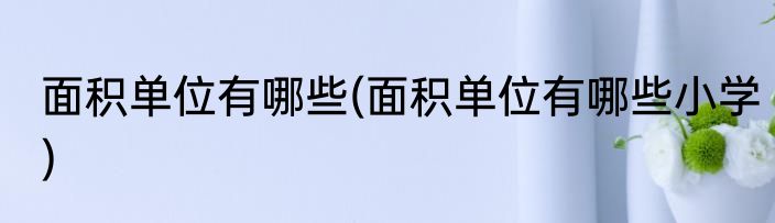 面积单位有哪些(面积单位有哪些小学)