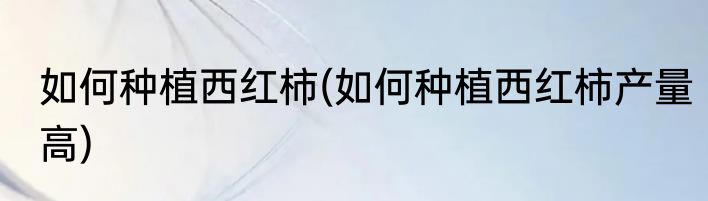 如何种植西红柿(如何种植西红柿产量高)