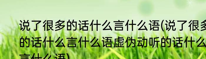 说了很多的话什么言什么语(说了很多的话什么言什么语虚伪动听的话什么言什么语)