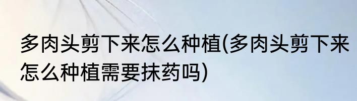 多肉头剪下来怎么种植(多肉头剪下来怎么种植需要抹药吗)