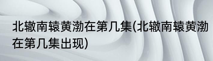北辙南辕黄渤在第几集(北辙南辕黄渤在第几集出现)
