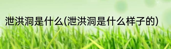 泄洪洞是什么(泄洪洞是什么样子的)