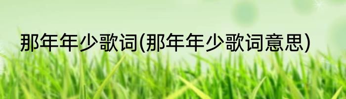 那年年少歌词(那年年少歌词意思)