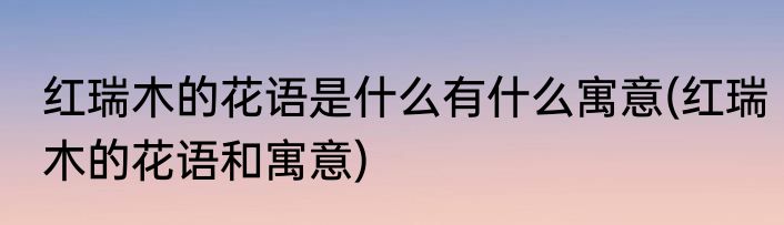 红瑞木的花语是什么有什么寓意(红瑞木的花语和寓意)