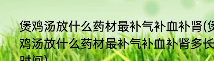 煲鸡汤放什么药材最补气补血补肾(煲鸡汤放什么药材最补气补血补肾多长时间)