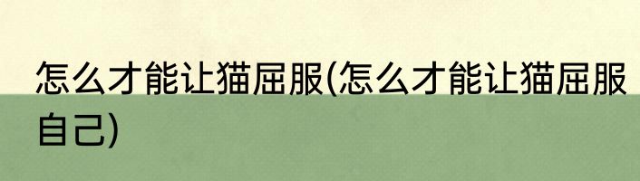 怎么才能让猫屈服(怎么才能让猫屈服自己)