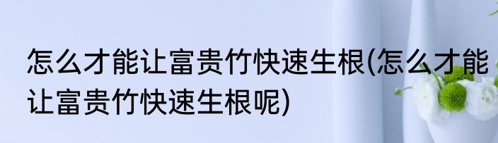 怎么才能让富贵竹快速生根(怎么才能让富贵竹快速生根呢)