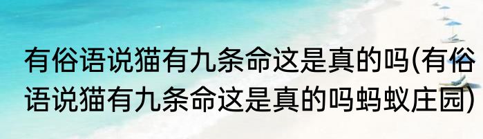 有俗语说猫有九条命这是真的吗(有俗语说猫有九条命这是真的吗蚂蚁庄园)