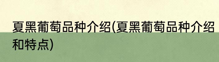 夏黑葡萄品种介绍(夏黑葡萄品种介绍和特点)