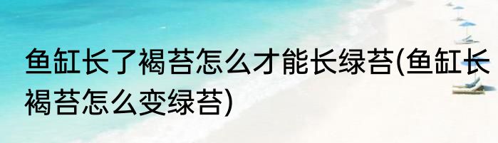 鱼缸长了褐苔怎么才能长绿苔(鱼缸长褐苔怎么变绿苔)