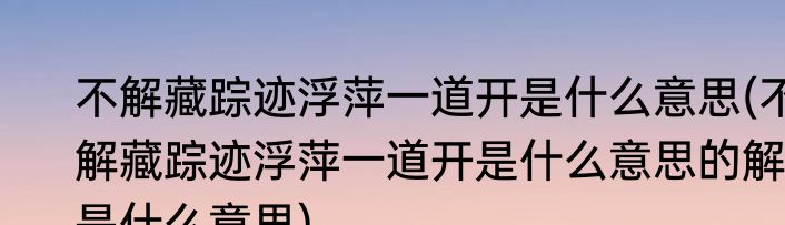 不解藏踪迹浮萍一道开是什么意思(不解藏踪迹浮萍一道开是什么意思的解是什么意思)