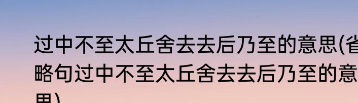 过中不至太丘舍去去后乃至的意思(省略句过中不至太丘舍去去后乃至的意思)