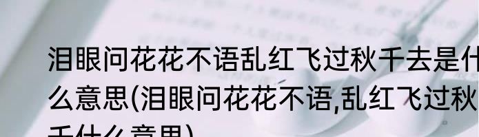 泪眼问花花不语乱红飞过秋千去是什么意思(泪眼问花花不语,乱红飞过秋千什么意思)