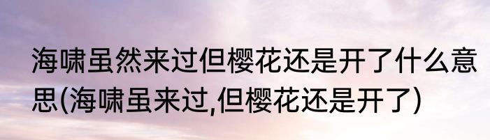 海啸虽然来过但樱花还是开了什么意思(海啸虽来过,但樱花还是开了)