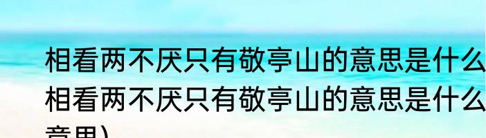 相看两不厌只有敬亭山的意思是什么(相看两不厌只有敬亭山的意思是什么意思)