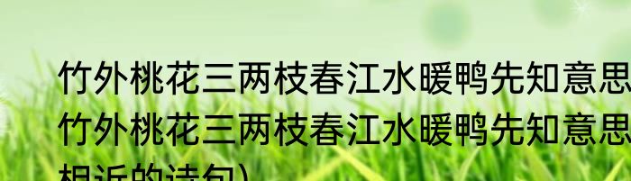竹外桃花三两枝春江水暖鸭先知意思(竹外桃花三两枝春江水暖鸭先知意思相近的诗句)