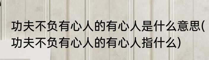 功夫不负有心人的有心人是什么意思(功夫不负有心人的有心人指什么)