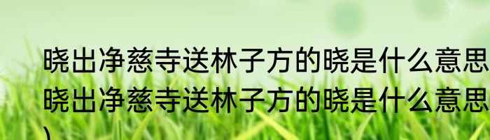 晓出净慈寺送林子方的晓是什么意思(晓出净慈寺送林子方的晓是什么意思?)