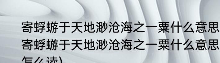 寄蜉蝣于天地渺沧海之一粟什么意思(寄蜉蝣于天地渺沧海之一粟什么意思怎么读)