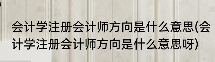 会计学注册会计师方向是什么意思(会计学注册会计师方向是什么意思呀)