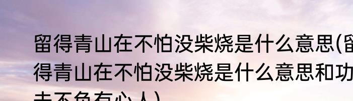 留得青山在不怕没柴烧是什么意思(留得青山在不怕没柴烧是什么意思和功夫不负有心人)