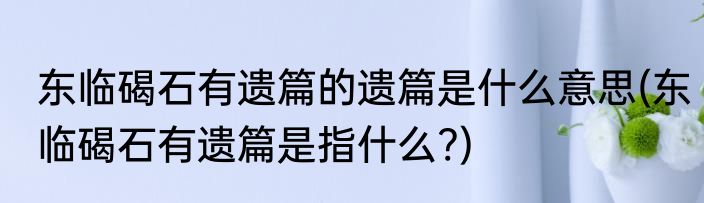 东临碣石有遗篇的遗篇是什么意思(东临碣石有遗篇是指什么?)