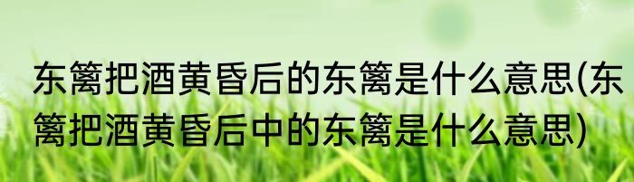 东篱把酒黄昏后的东篱是什么意思(东篱把酒黄昏后中的东篱是什么意思)