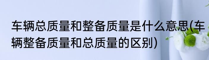 车辆总质量和整备质量是什么意思(车辆整备质量和总质量的区别)