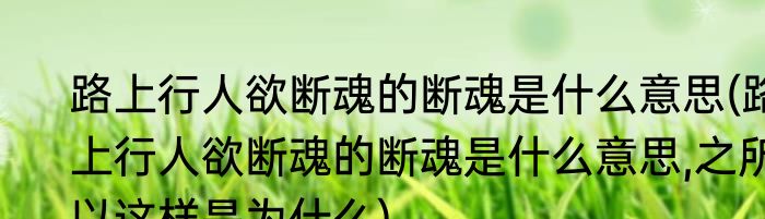 路上行人欲断魂的断魂是什么意思(路上行人欲断魂的断魂是什么意思,之所以这样是为什么)