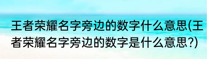王者荣耀名字旁边的数字什么意思(王者荣耀名字旁边的数字是什么意思?)