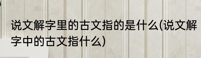 说文解字里的古文指的是什么(说文解字中的古文指什么)