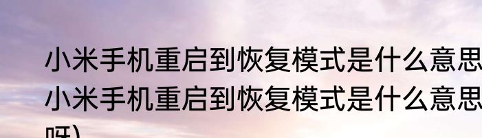 小米手机重启到恢复模式是什么意思(小米手机重启到恢复模式是什么意思呀)