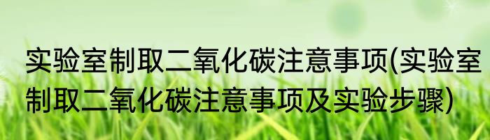 实验室制取二氧化碳注意事项(实验室制取二氧化碳注意事项及实验步骤)