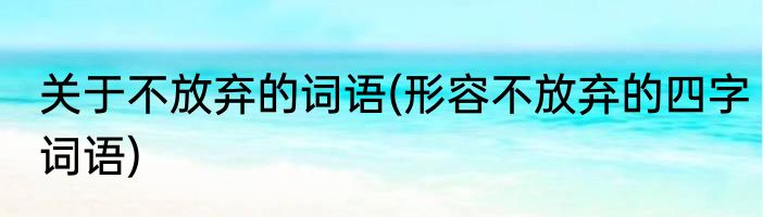 关于不放弃的词语(形容不放弃的四字词语)