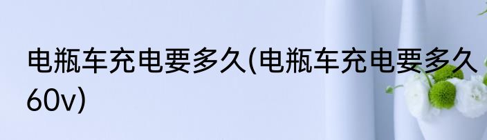 电瓶车充电要多久(电瓶车充电要多久60v)
