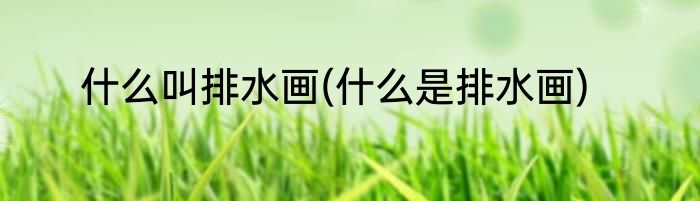 什么叫排水画(什么是排水画)