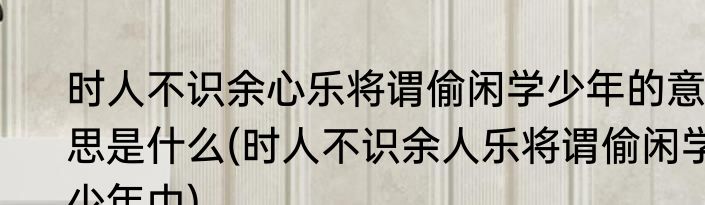时人不识余心乐将谓偷闲学少年的意思是什么(时人不识余人乐将谓偷闲学少年中)