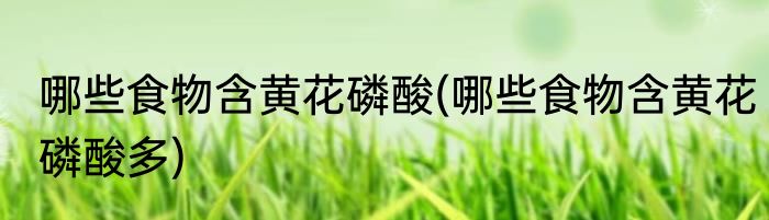 哪些食物含黄花磷酸(哪些食物含黄花磷酸多)