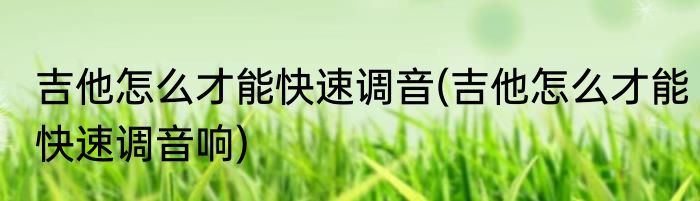 吉他怎么才能快速调音(吉他怎么才能快速调音响)