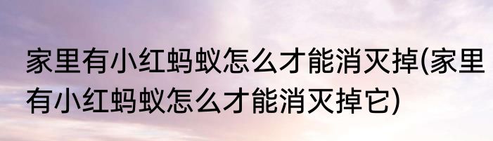 家里有小红蚂蚁怎么才能消灭掉(家里有小红蚂蚁怎么才能消灭掉它)