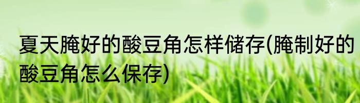 夏天腌好的酸豆角怎样储存(腌制好的酸豆角怎么保存)
