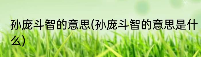 孙庞斗智的意思(孙庞斗智的意思是什么)