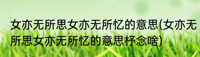 女亦无所思女亦无所忆的意思(女亦无所思女亦无所忆的意思杼念啥)